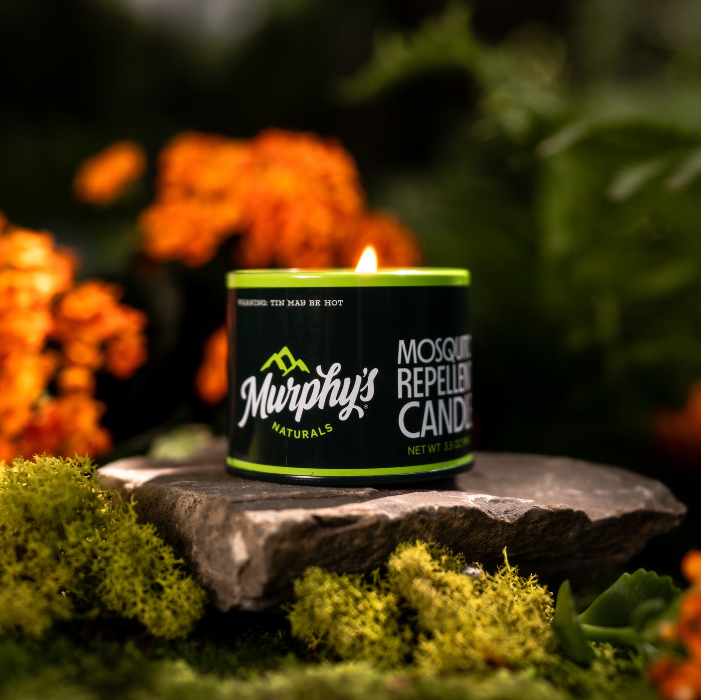 Mosquito Repellent 3.5oz Mini Candles - Display of 6