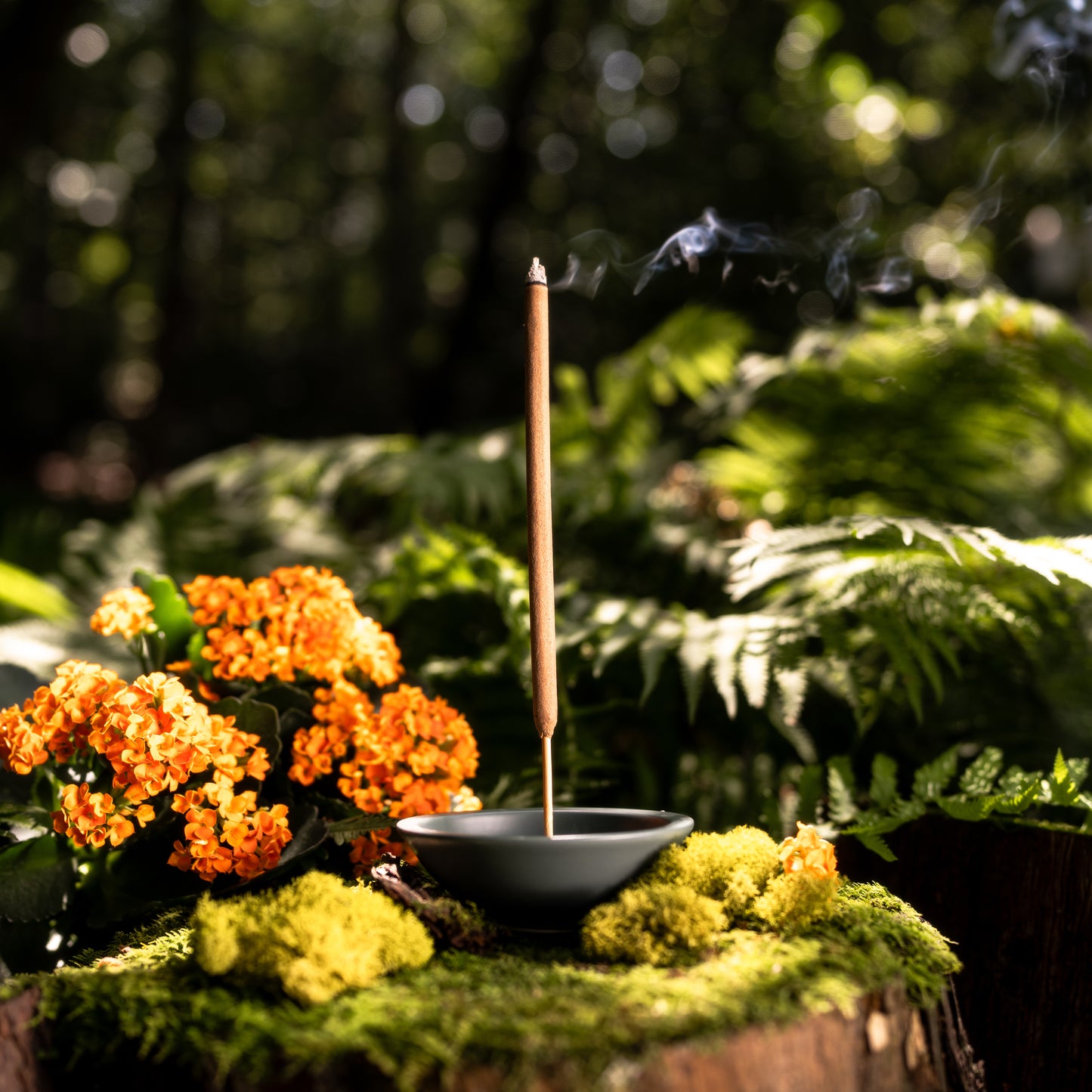 Incense Stick Holder, Forest Green - Case of 6