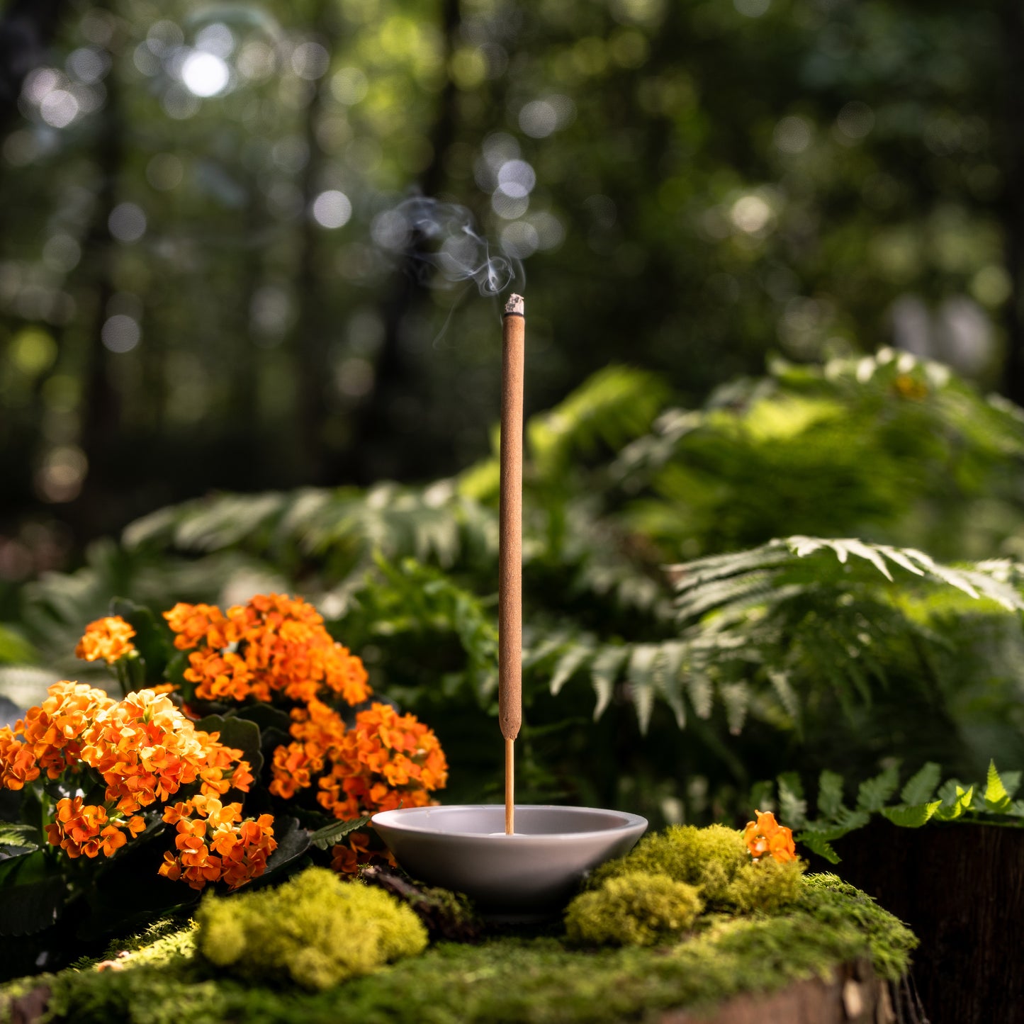 Incense Stick Holders - Mixed Case of 6