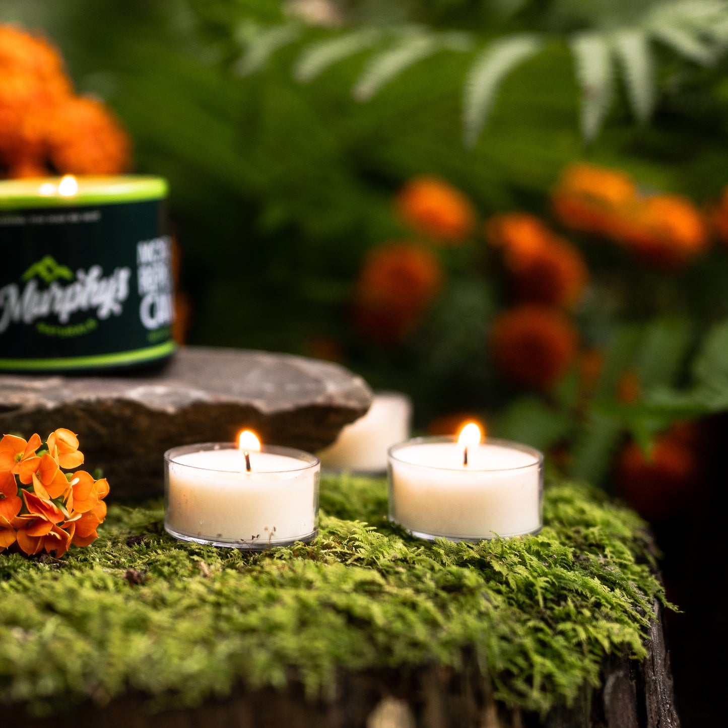 Mosquito Repellent Tea Light Candles (12ct) - Case of 6